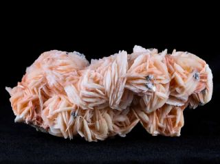 Pink Barite Blades,  Cerussite & Galena Crystal Mineral Specimen Morocco 11.  8 Oz