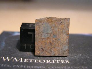 Meteorite Tindouf (official Name) - Chondrite H6 Found 1997 In Algeria