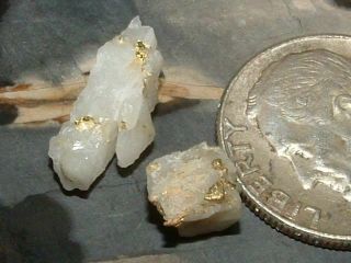 2 California Gold Quartz Specimens Natural Gold.  58 Gram Micromount