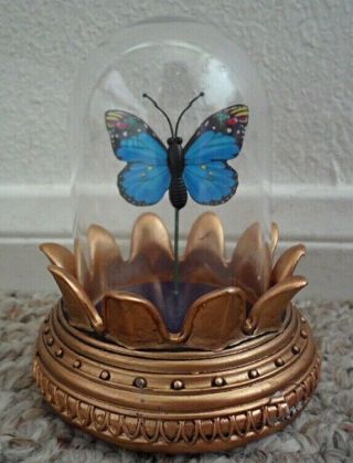 Butterfly In Dome Souvenir Figurine The Netherlands Efteling Park Symbolica