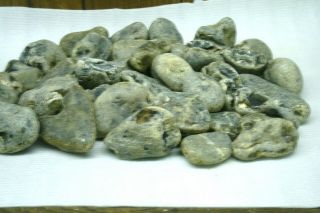 40 Lbs Rough Montana Agate For Cutting Slabs,  Lapidary,  Crafts Hobbies