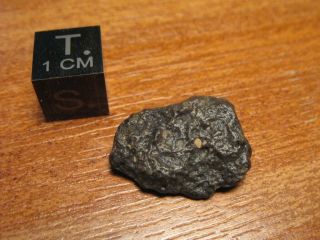 Meteorite Nwa 11541 - Carbonaceous Chondrite Type Cv3 - Individual