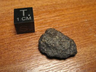 Meteorite NWA 11541 - Carbonaceous Chondrite type CV3 - Individual 2