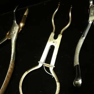 3 Vintage CLEV DENT Dental Extractor Tools EXTRACTION PLIERS CLEV - DENT 3