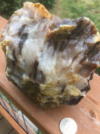 Opalized Petrified Wood From Oregon Lapidary Material 4.  4 Lbs