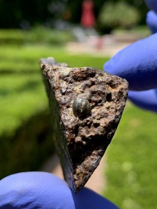 Meteorite Nwa,  Unclassified 90.  31 Grams W/3d Chondrules Rare