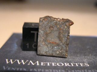 Meteorite Nwa 11539 - Chondrite Ll3 With A Tkw Of Only 71.  3g