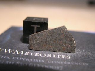 Meteorite Dar Al Gani 749 - Carbonaceous Chondrite (co3) - Found Lybia 1999