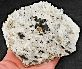 Huge Cluster Hundreds Of Quartz Crystals W/pyrite Crystals & Sphalerite 890gr
