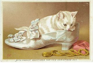 Helena Maguire Artist Signed Victorian Christmas Card Cat In Silk Blue Shoe