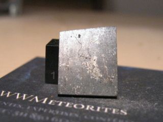 Meteorite Nwa 12331 - Unequilibrated Chondrite (l3) : Fayalite Range 23.  5 - 29.  9
