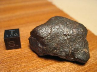 Meteorite Nwa 11141 - Equilibrated Chondrite (h5) - Individual