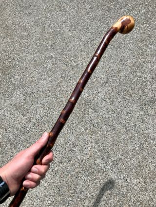 Irish Blackthorn Shillelagh Walking Stick Cane Bata Knobstick Handmade Artisanal