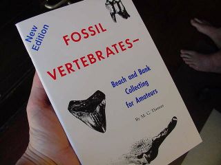 (s - 301 - C) Fossil Vertebrates I.  D.  Identification Book Books Shark Fossils Id