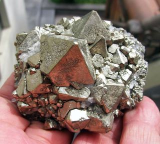Pyrite Octahedral Crystals With Quartzs On Matrix From Peru.  Huanzala Mine