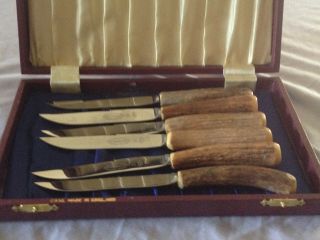 6 Pc Griffon Stag / Antler Handle Steak Knives,  Made In Sheffield,  England