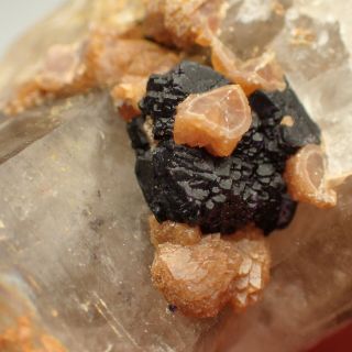 Fluorite - Antozonite On Smoky Quartz,  Scheelite Cinovec,  Czech Republic