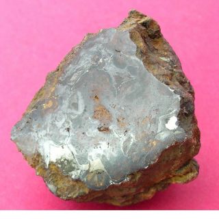 Sericho Pallasite Meteorite - 28.  3 Gram Polished End Cut