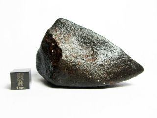 Nwa X Meteorite 108.  77g Fabulous Flight Marked Firestone