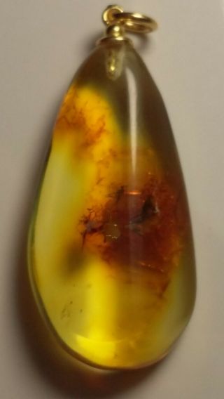 Insect Inclusion Baltic Amber Silver Gold Plated Pendant 2.  1 G