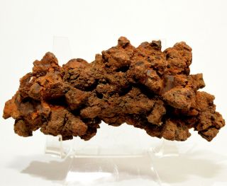 225g Dinosaur Dung Coprolite Fossil Natural Mineral Poop Specimen - Madagascar