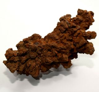 225g Dinosaur Dung Coprolite Fossil Natural Mineral Poop Specimen - Madagascar 4