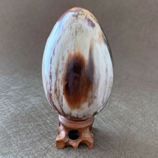 350g Natural Petrified Wood Egg Fossil Polished Specimen Madagascar J022