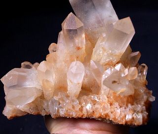 RARE HUGE Elestial Angel PINK Lemurian Quartz Crystal Cluster - Touch the Angel 7