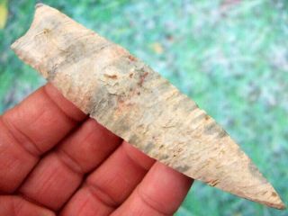 Fine 4 1/2 inch Missouri Angostura Point with Arrowheads Artifacts 6