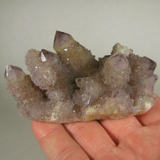 3.  6 " Spirit Amethyst Cactus Quartz Crystal Cluster - Magaliesburg,  South Africa