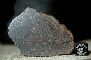 Nwa 11030 L4 Chondrite Meteorite 11.  6g Complete Slice Has Odd Metal Distribution
