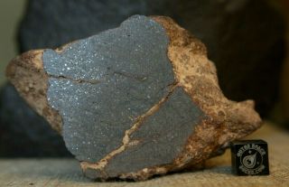 Nwa Unclassified Meteorite 263.  7g Windowed Frag With Chondrules And Sparse Metal