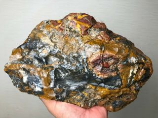Solid Dendretic Agatized Opal Rough - 11.  5 Lbs From - Africa