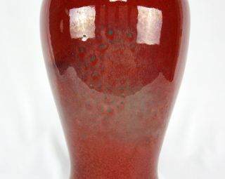 Chinese Oxblood Sang de Boeuf Fish Tale Form Vase 4