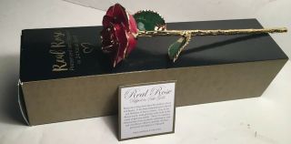 Real Red Rose Dipped 24k Gold Steven Singer Preserved Long Stem Mother’s Day