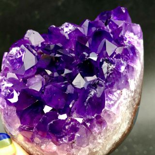 228g Museum Quality - Natural Deep Purpleamethyst Crystal Quartz Cluster/brazil
