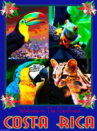 Costa Rica Welcome To Rainforest Central America Travel Poster Advertisement