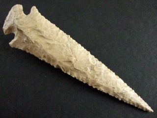 Fine Authentic 4 1/8 Inch Collector Grade Missouri Dovetail Point Arrowheads 5
