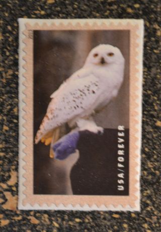 2013usa 4830 Forever Harry Potter - Hedwig The Owl Single Stamp Nh