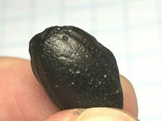 Australite 3: Australian tektite from meteorite impact,  Oval with S rim & wave 2