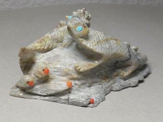 ZUNI FETISH F - 2288 PICASSO MARBLE LIZARD & HORNED TOAD ON ROCK BY ALVIN HALOO 6
