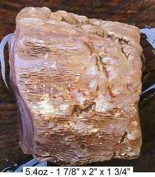 NEVADA - TEXAS SPRINGS PURPLISH PINK AGATE PETRIFIED WOOD LOG - TOP GRADE 2