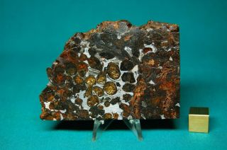 Sericho Meteorite Pallasite 92.  2 Grams