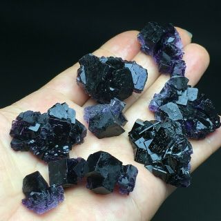 73gnew Find Natural Cube Deep Purple Fluorite Crystal Cluster Mineral Specimen