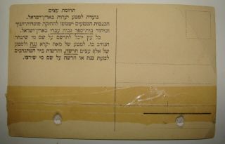 Jewish Judaica 1917 KKL JNF Tree Fund Card Donation Receipt Zionist Palestine 2