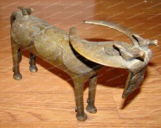 Antique African Bronze Water Buffalo,  Oxpecker (Bobo People) Burkina Faso 3