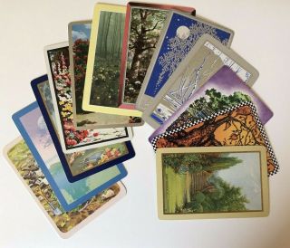 12 Vintage Playing Cards Summer Flowers/trees All Different 1 Swap