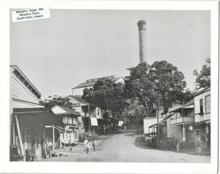 Waipahu Mill & Depot Road 1930s?,  South West Oahu,  Hawaii 8 X 10 Inch Photo
