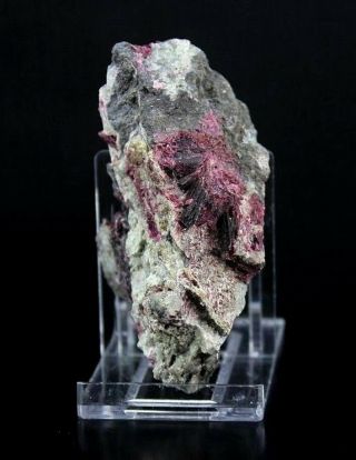 Erythrite Crimson Cobalt Mineral Specimen Bou Azzer,  Morocco 20