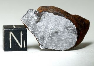 Meteorite Agoudal - Iron 12.  8g Strong Neumann Lines Perfect Etched Endcut